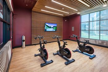 Yoga & spin room